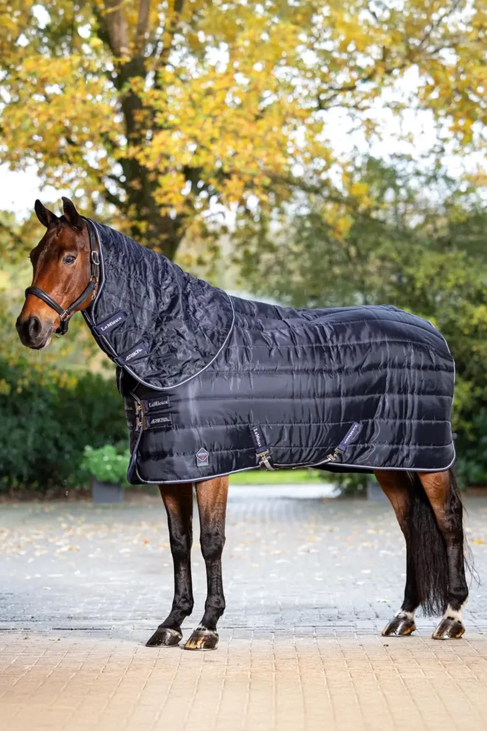 LeMieux Lemieux-Stalltäcke Arika 200g Navy