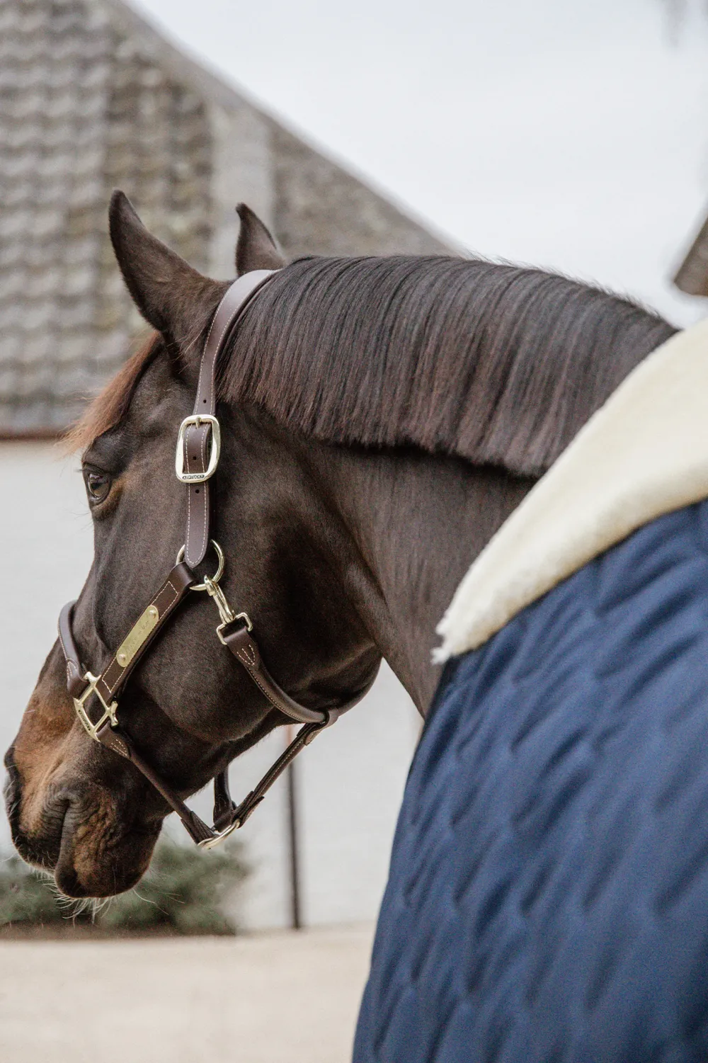 Kentucky Horsewear Kentucky Horsewear-Stalltäcke Comfort 100g Navy