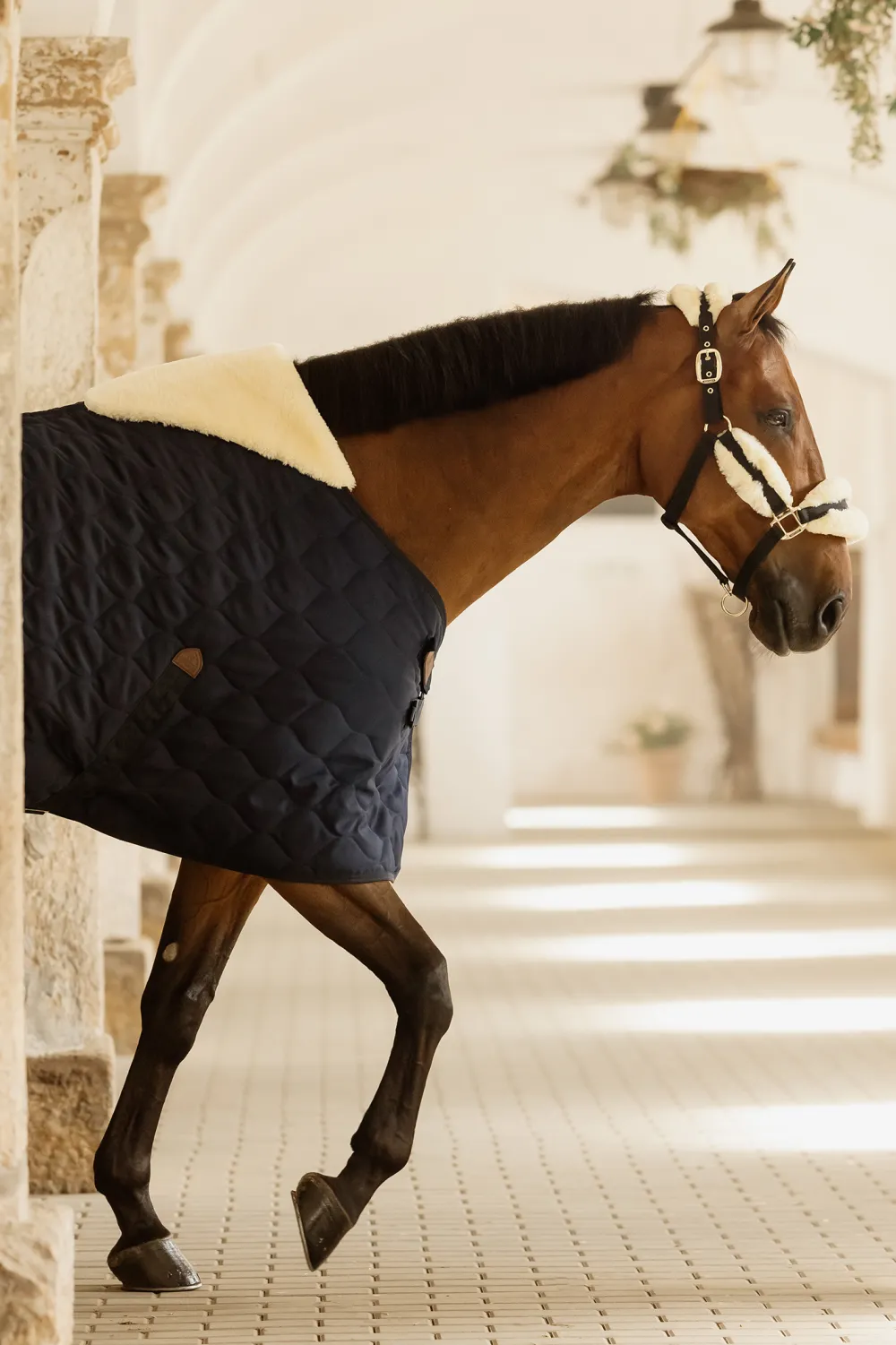 Kentucky Horsewear Kentucky Horsewear-Stalltäcke Comfort 100g Navy
