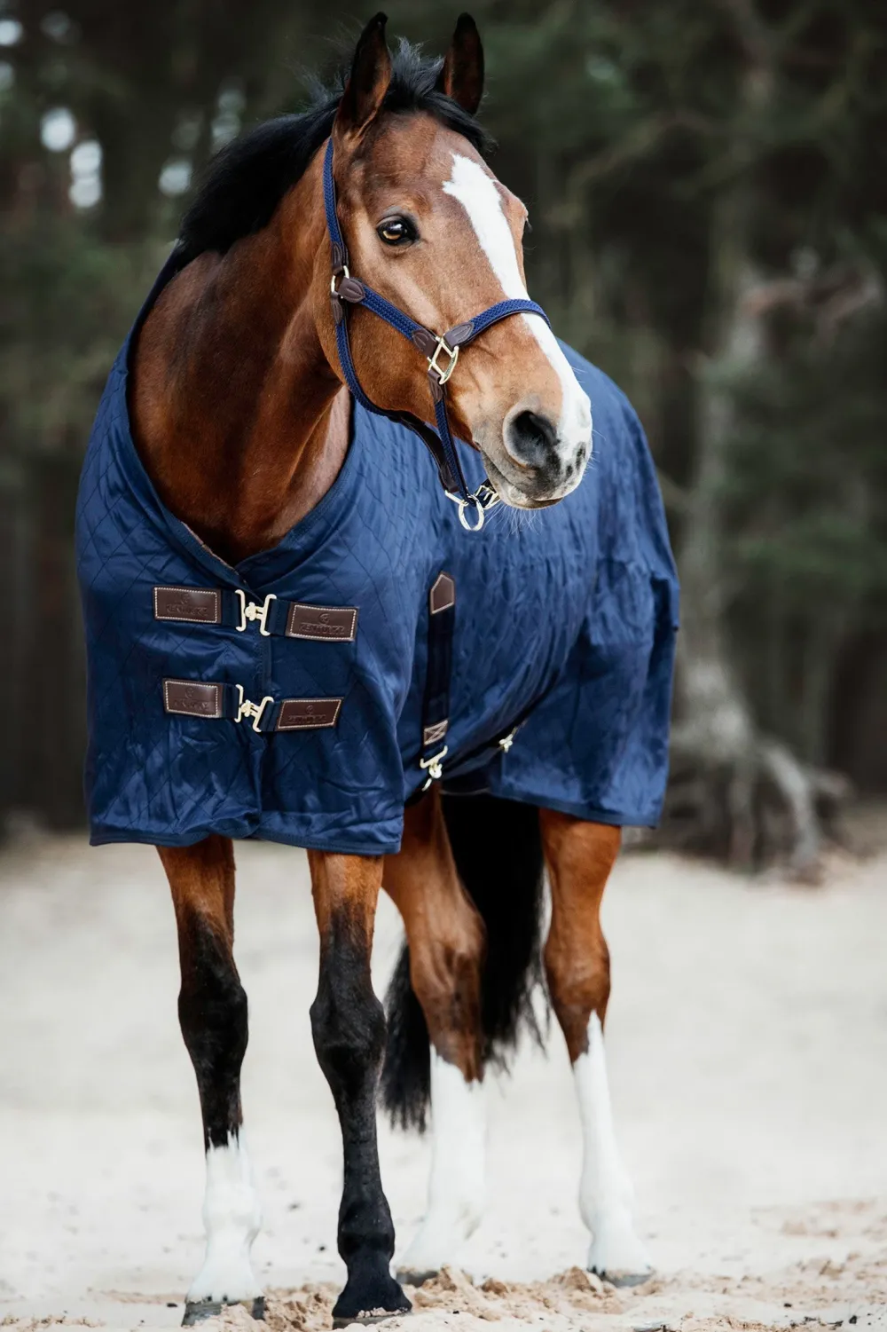 Kentucky Horsewear Hästtäcken & Flughuvor|Kentucky Horsewear-Stalltäcke 0g Navy