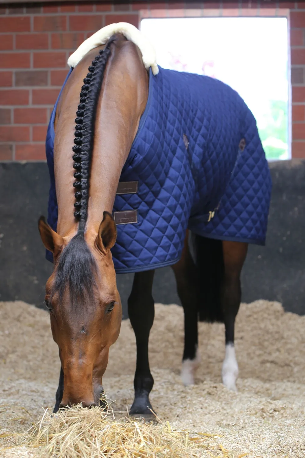 Kentucky Horsewear Hästtäcken & Flughuvor-Stalltäcke 200g Navy