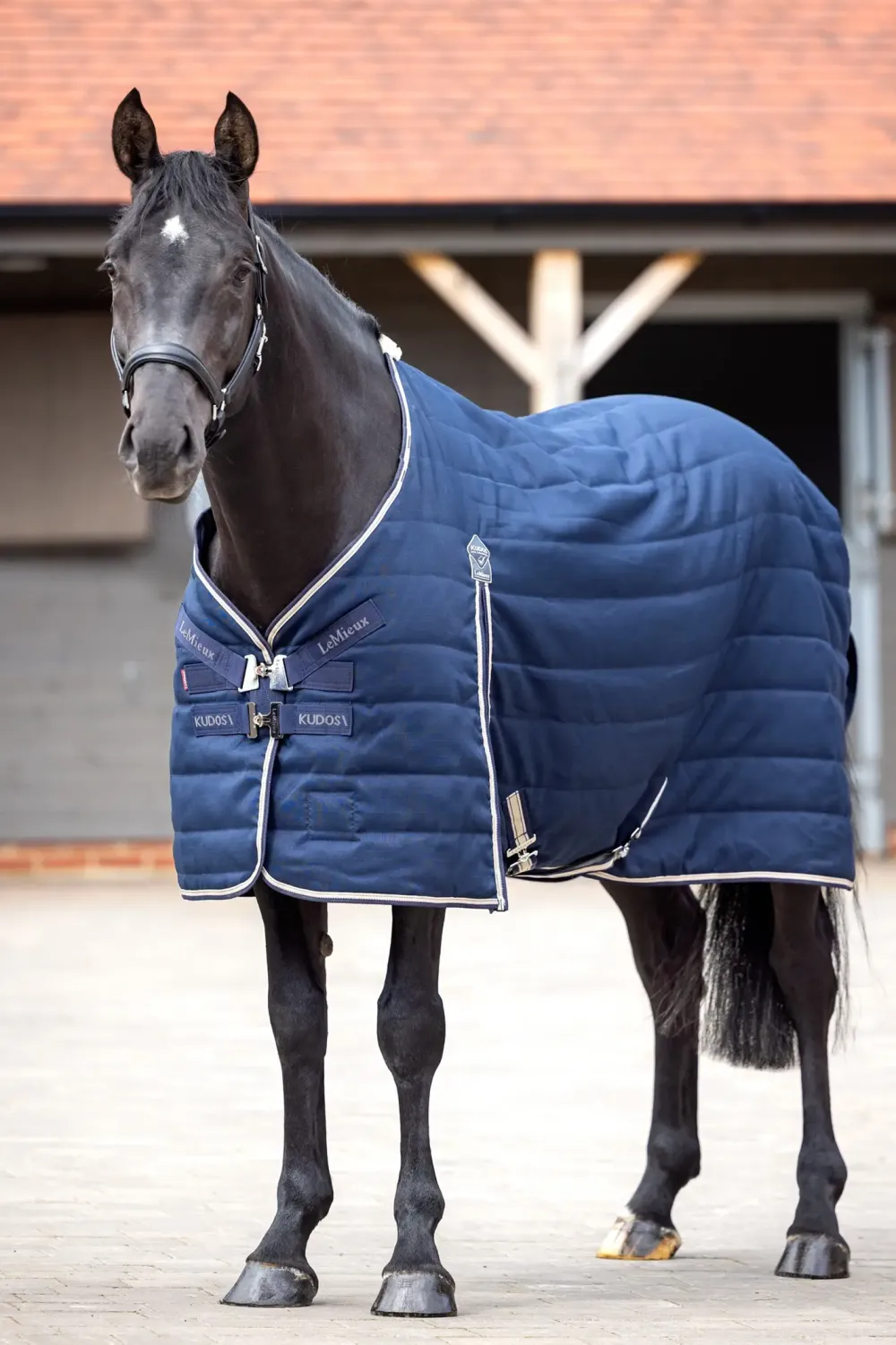 LeMieux Hästtäcken & Flughuvor|Lemieux-Stalltäcke Kudos 200g Navy