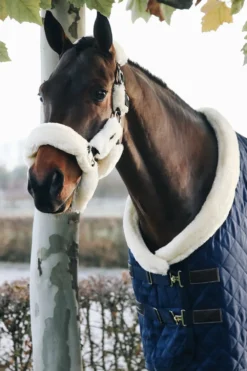 Kentucky Horsewear Hästtäcken & Flughuvor-Stalltäcke Show Rug 160g Navy