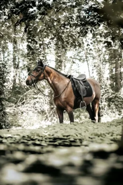 Kentucky Horsewear Schabrak & Huvor-Stone & Pearl Lång Huva Svart