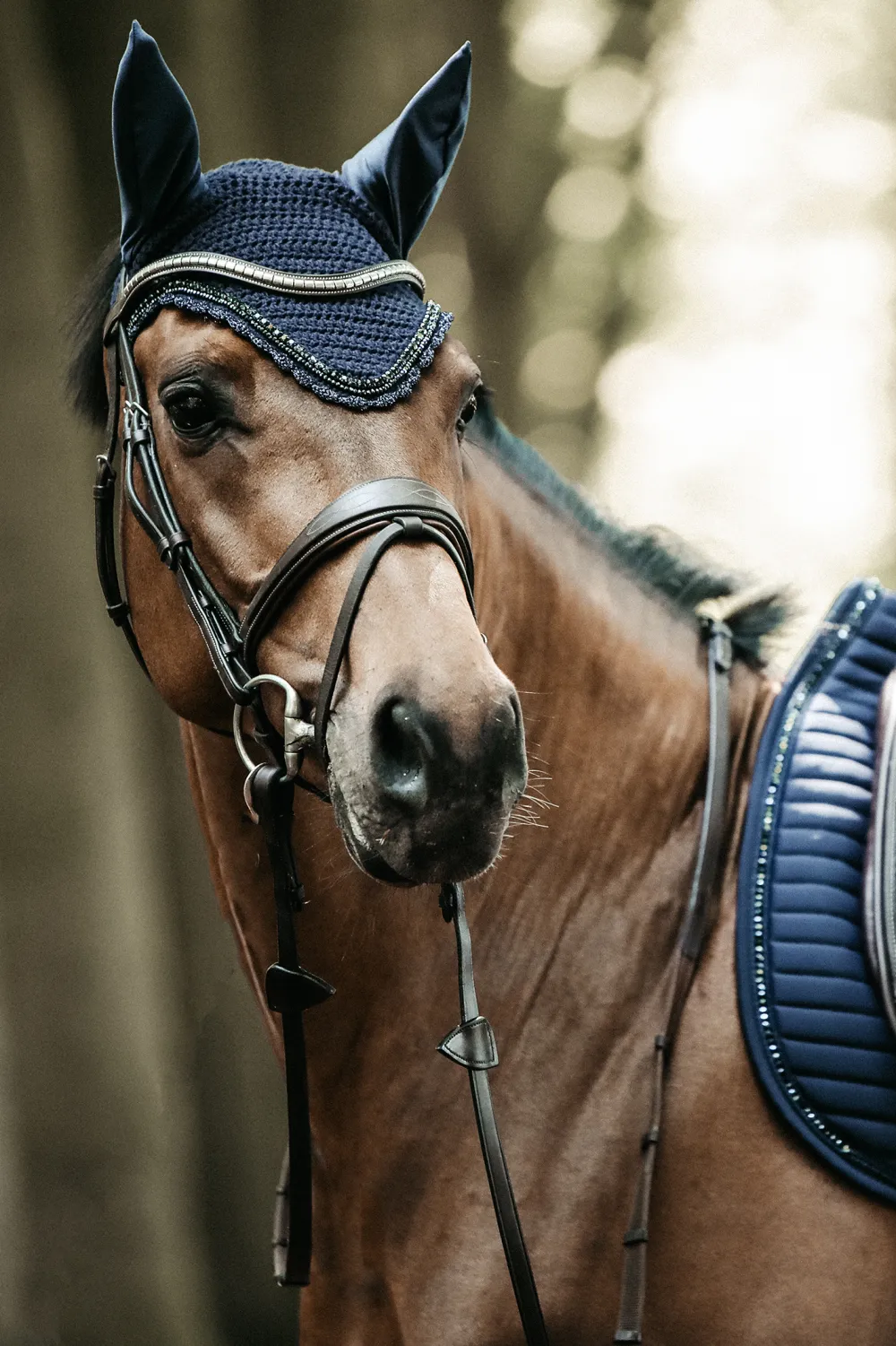 Kentucky Horsewear Schabrak & Huvor-Stone & Pearl Lång Isolerad Huva Svart