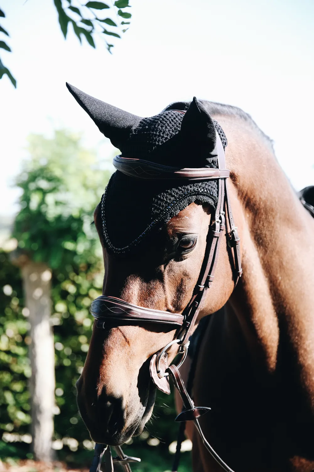 Kentucky Horsewear Schabrak & Huvor-Stone & Pearl Lång Isolerad Huva Svart