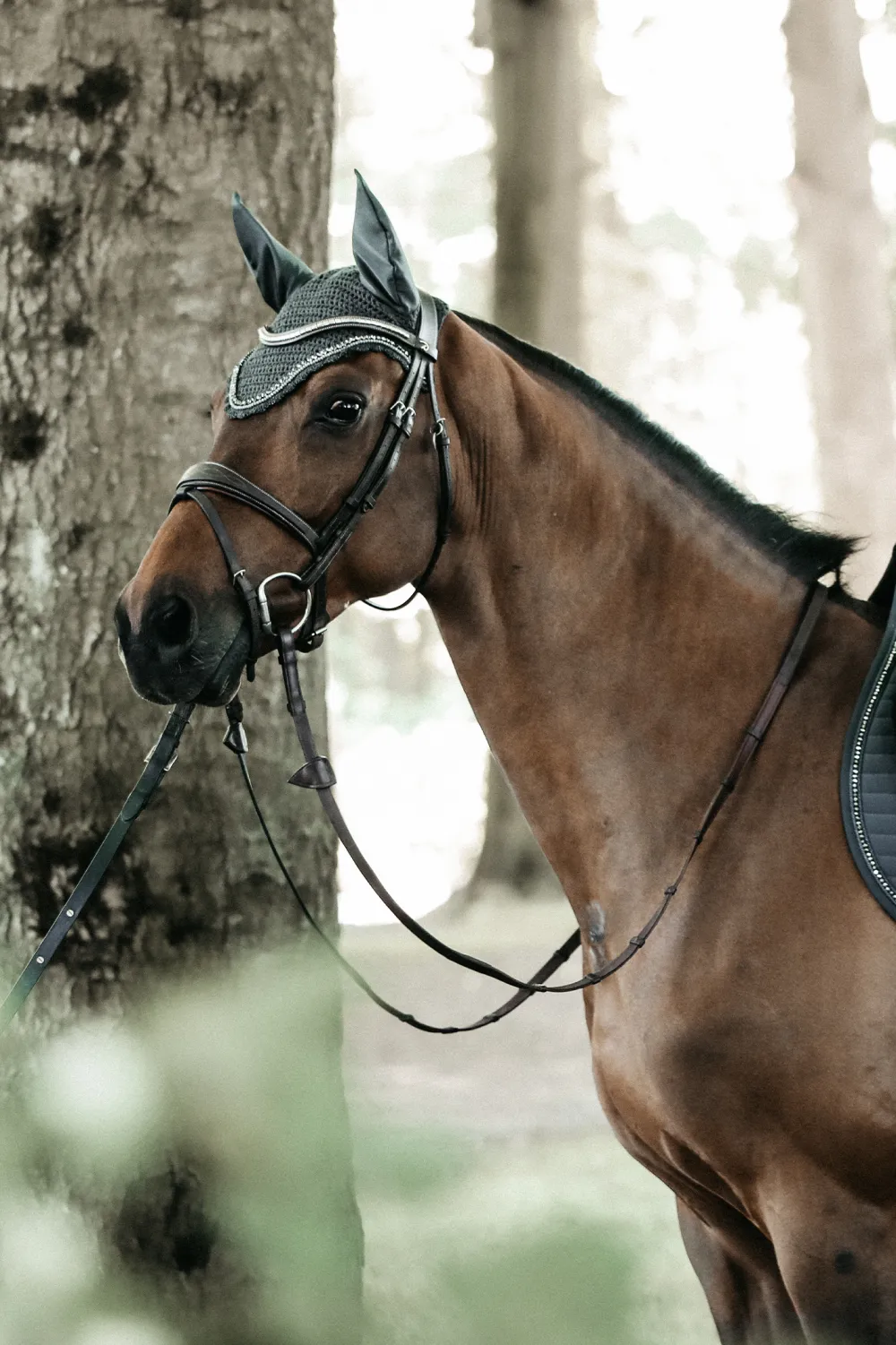 Kentucky Horsewear Kentucky Horsewear|Schabrak & Huvor-Stone & Pearl Lång Isolerad Huva Grå