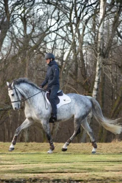 Stierna Equestrian Stierna|Jackor & Kappor-tor Regnjacka