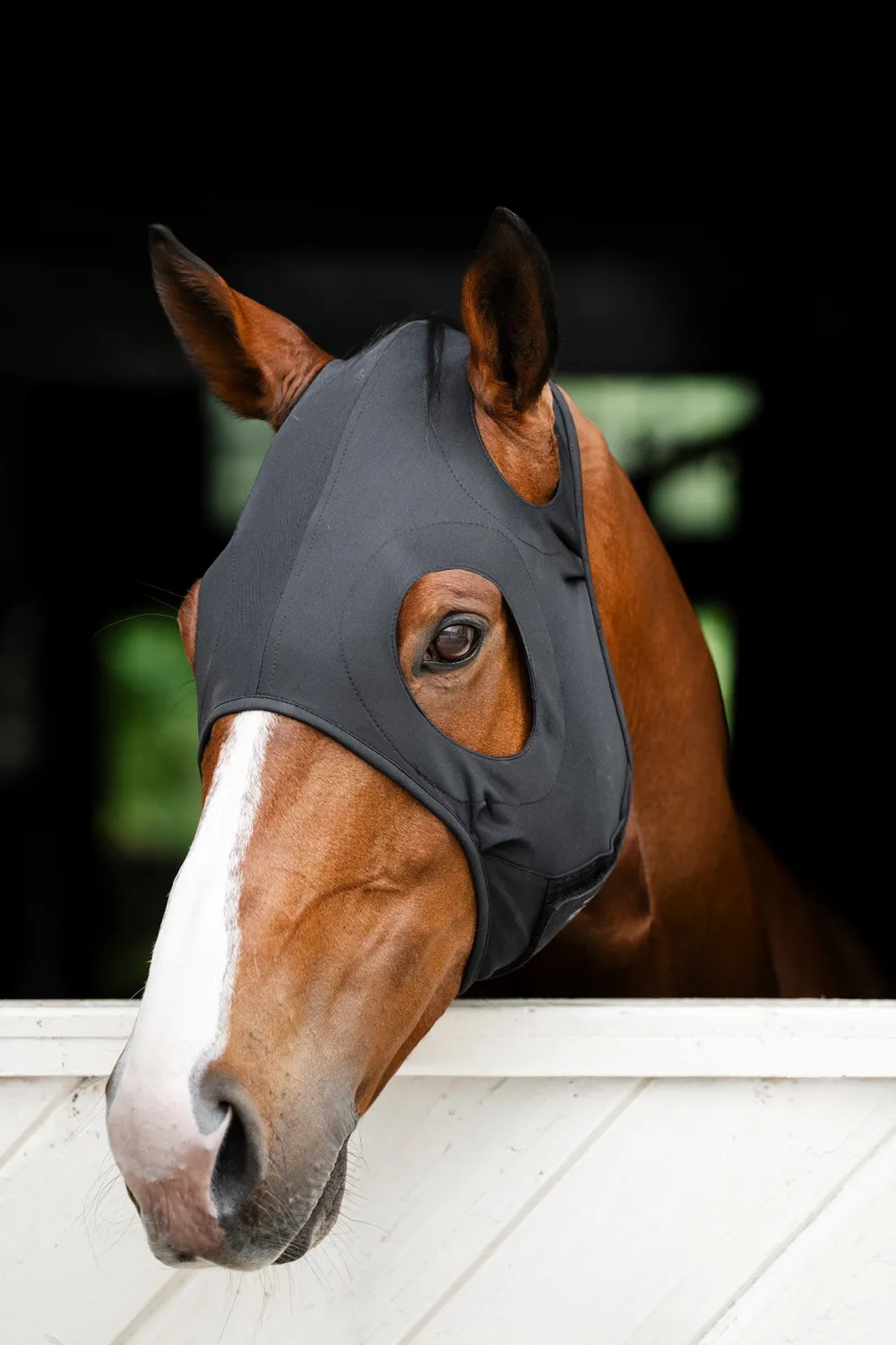Horseware Horseware-Stresshuva Ionic Svart