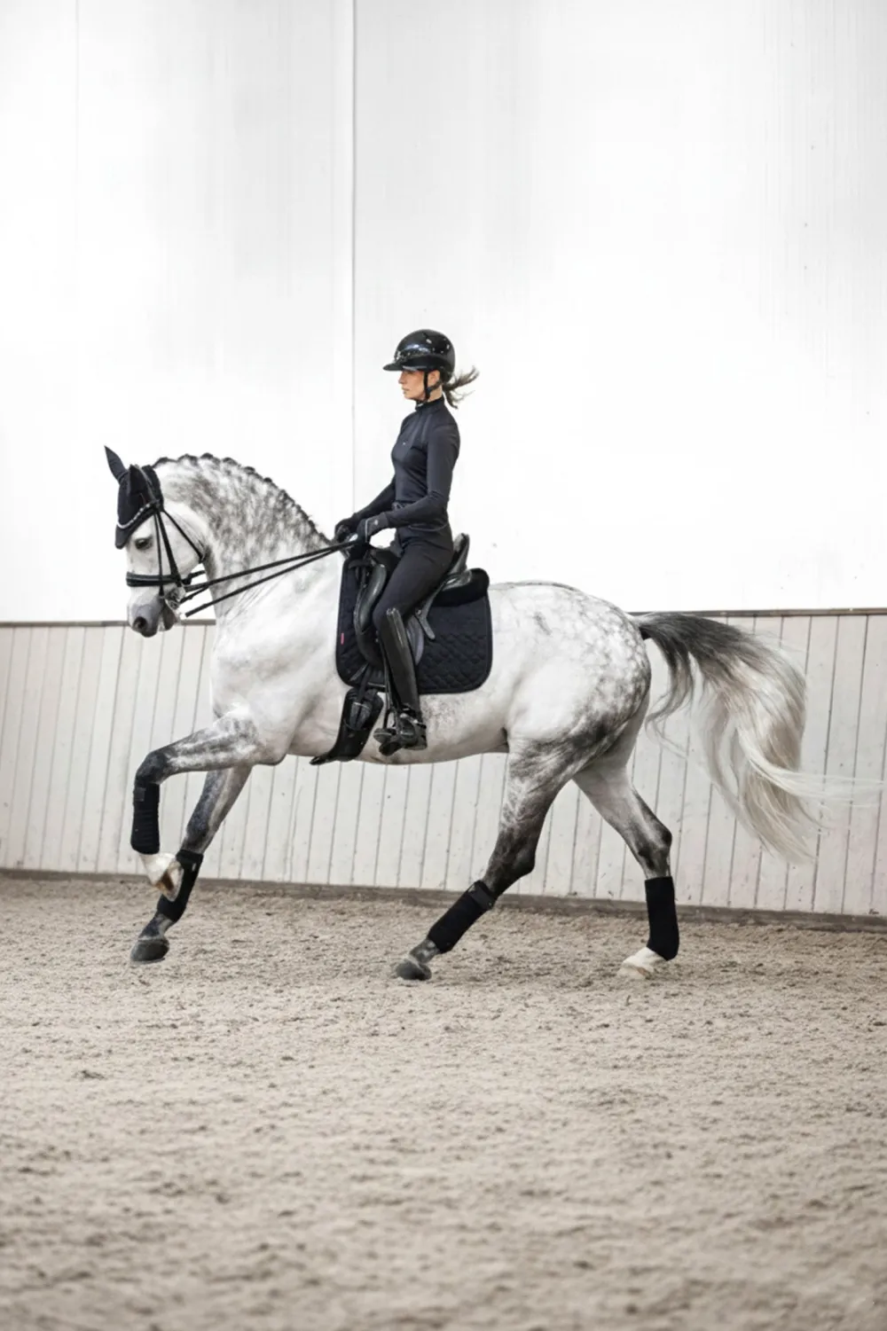 LeMieux Schabrak & Huvor|Lemieux-Suede Crysta Dressyrschabrak Svart
