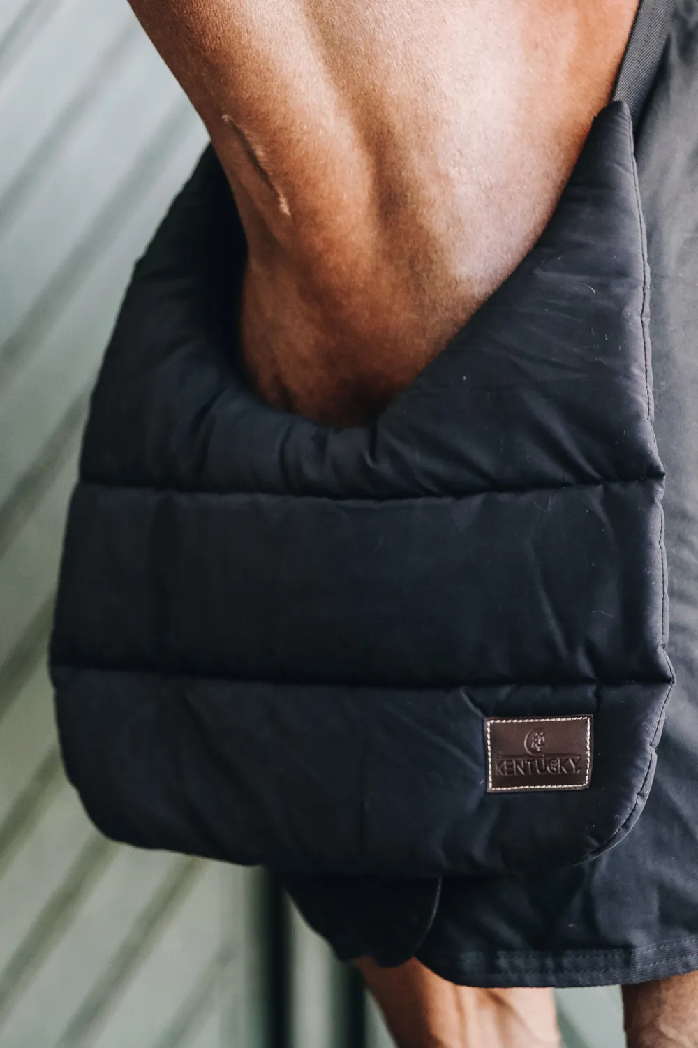 Kentucky Horsewear Hästtäcken & Flughuvor-Täckesbib Sommar Svart