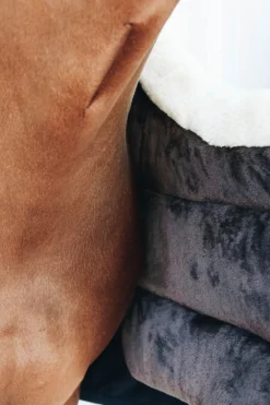 Kentucky Horsewear Hästtäcken & Flughuvor|Kentucky Horsewear-Täckesbib Vinter Navy
