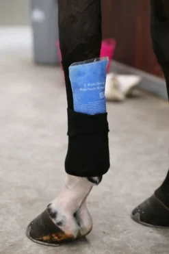 Kentucky Horsewear Skötsel & Hästvård-Tendon Grip Linda