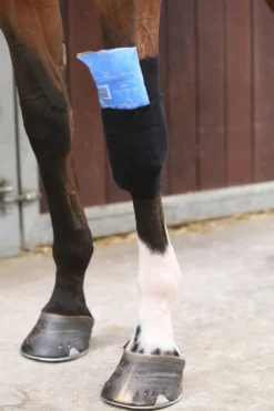 Kentucky Horsewear Skötsel & Hästvård-Tendon Grip Linda