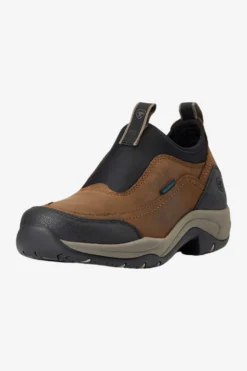 Ariat Ridskor|Ariat-Terrain Ease Vattentät Sko Brun