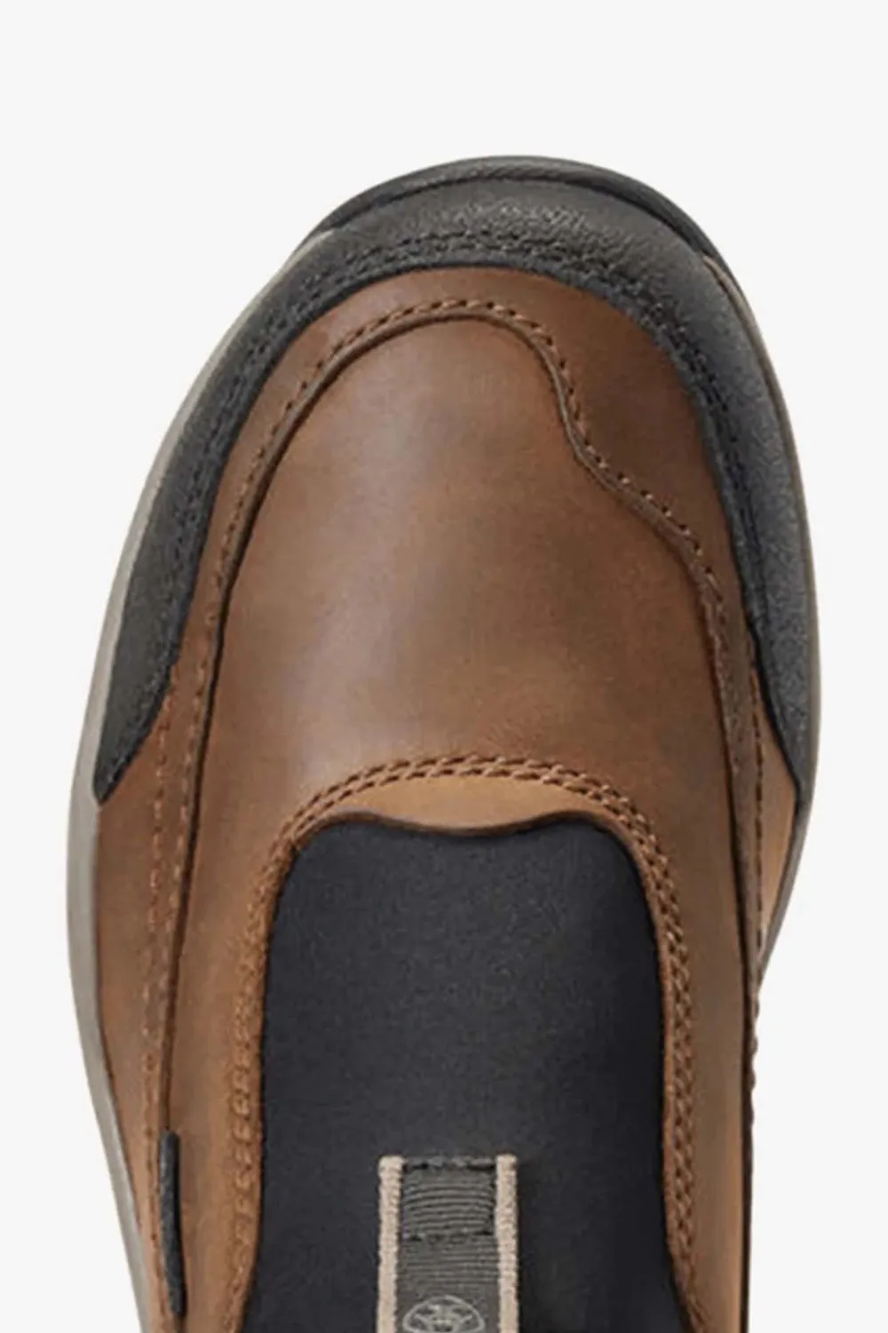 Ariat Ridskor|Ariat-Terrain Ease Vattentät Sko Brun