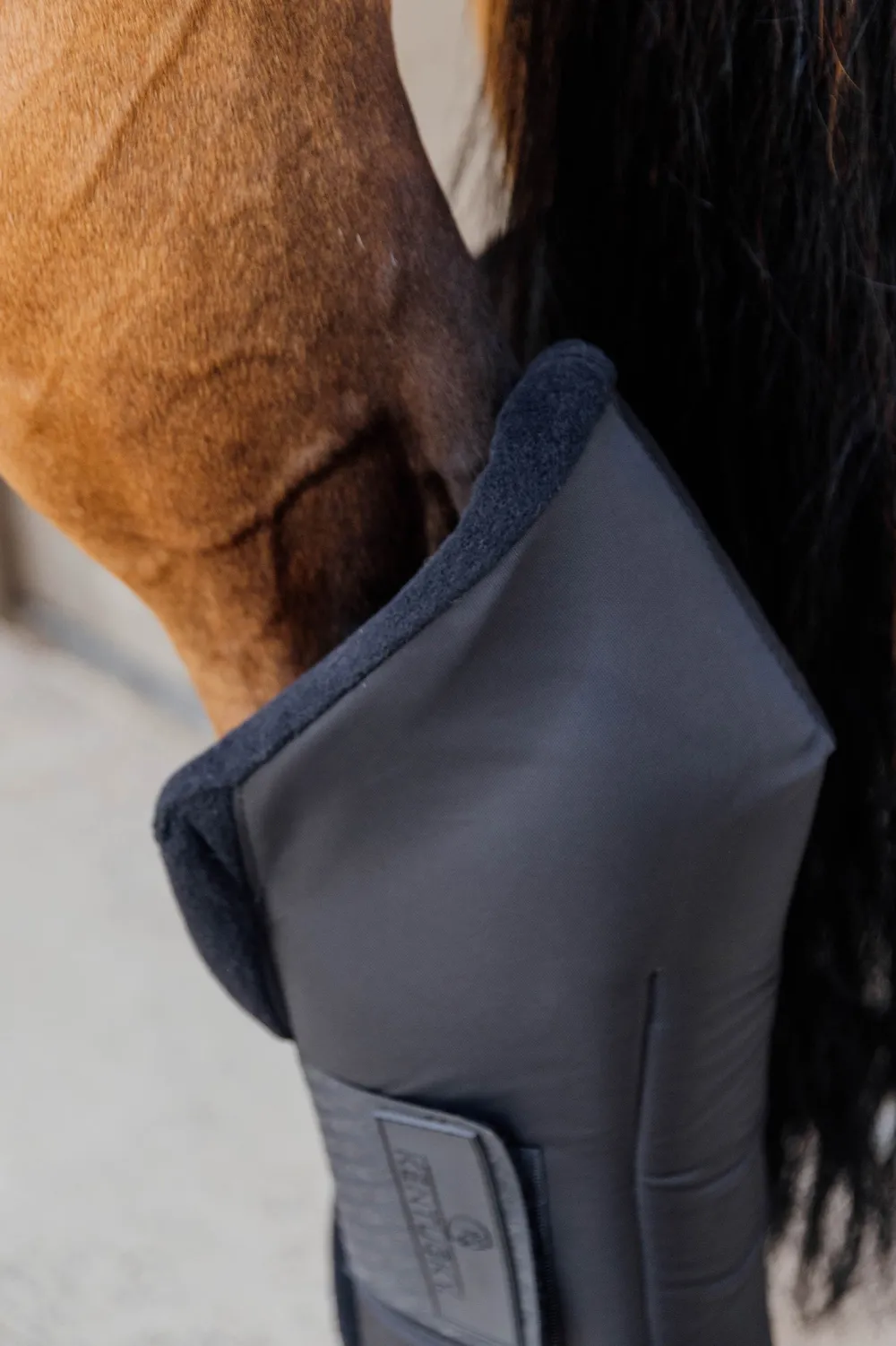 Kentucky Horsewear Kentucky Horsewear|Benskydd & Benlindor-Transportskydd Bak Svart