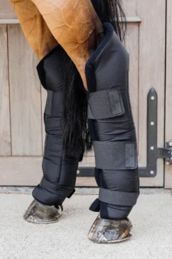 Kentucky Horsewear Kentucky Horsewear|Benskydd & Benlindor-Transportskydd Bak Svart