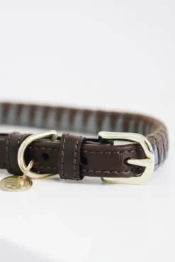 Kentucky Dogwear Kentucky Dogwear-Triange Hundhaband
