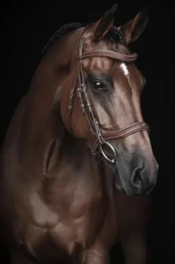 Lippo Lippo-Träns Eccelente Cognac