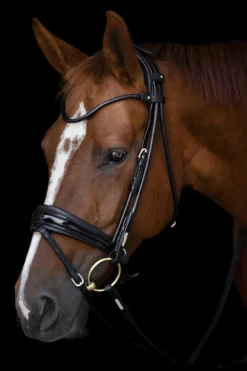 Utzon Equestrian Träns & Pannband|Utzon-Träns Edinburgh