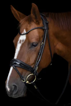 Utzon Equestrian Träns & Pannband|Utzon-Träns Edinburgh