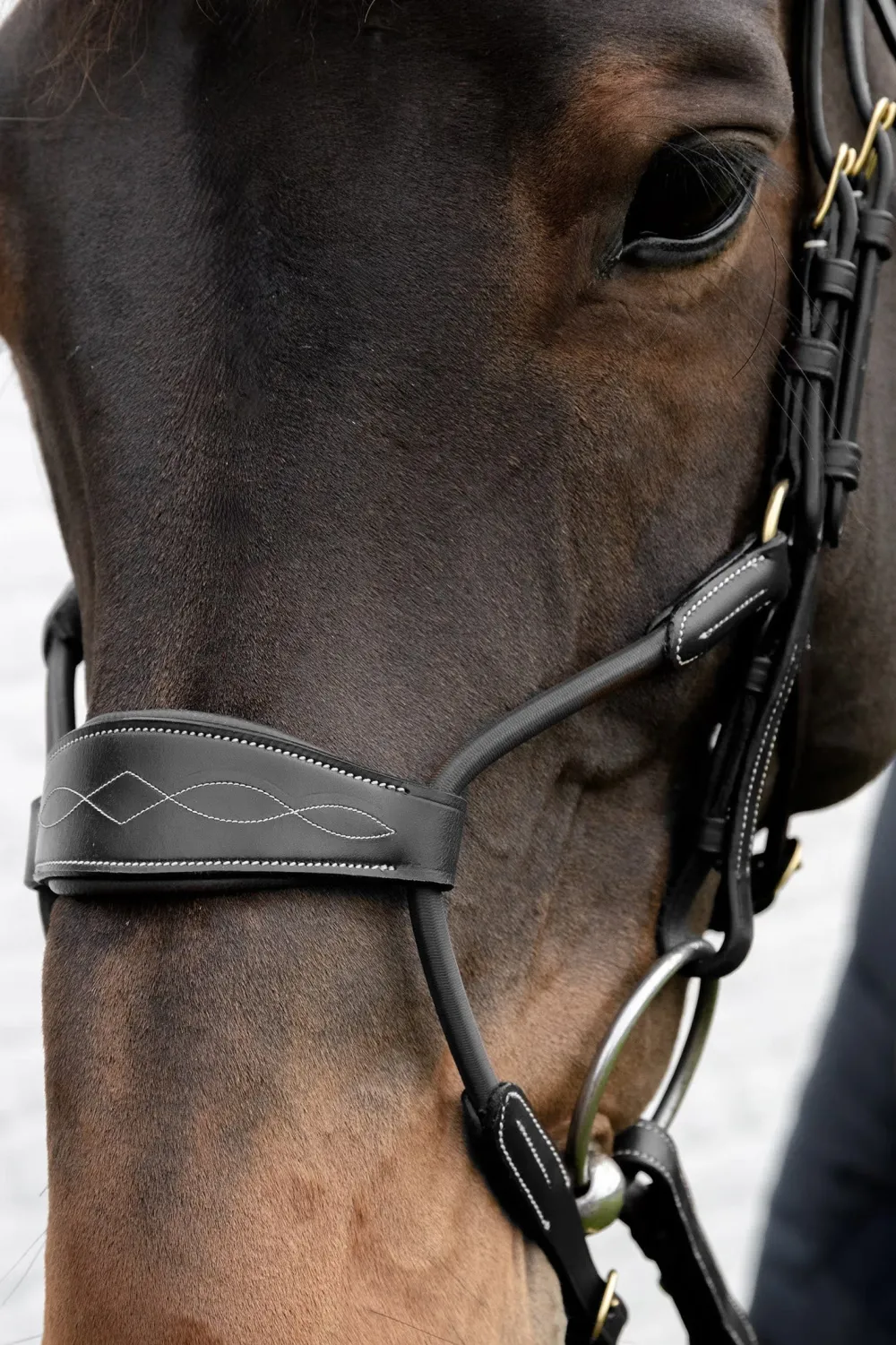 Dyón Dyón|Träns & Pannband-Träns Elastisk Hybrid Dyon Collection Svart