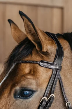 Dyón Dyón|Träns & Pannband-Träns Flätad Rund Kombinerad Dyon Collection Svart