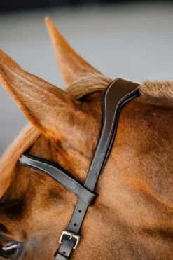 Horseware Träns & Pannband|Horseware-Träns Micklem Competiton Dark Havana