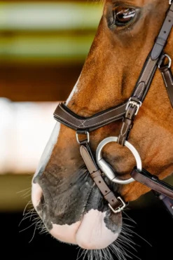 Horseware Träns & Pannband|Horseware-Träns Micklem Competiton Dark Havana