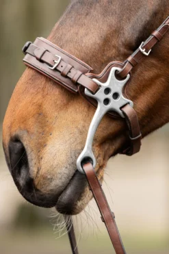 Trust Equestrian Trust Equestrian-Trust Hackamore Brun/Silver