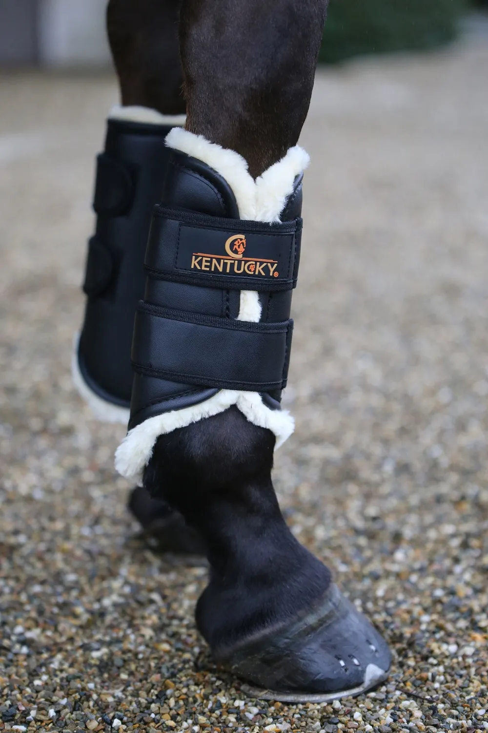 Kentucky Horsewear Kentucky Horsewear|Benskydd & Benlindor-Turnout Damasker Läder Bak Svart