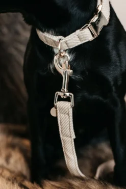 Kentucky Dogwear Kentucky Dogwear-U Hundhaband