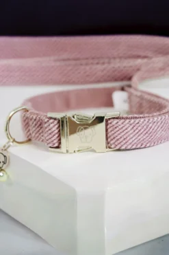 Kentucky Dogwear Kentucky Dogwear-U Hundhaband