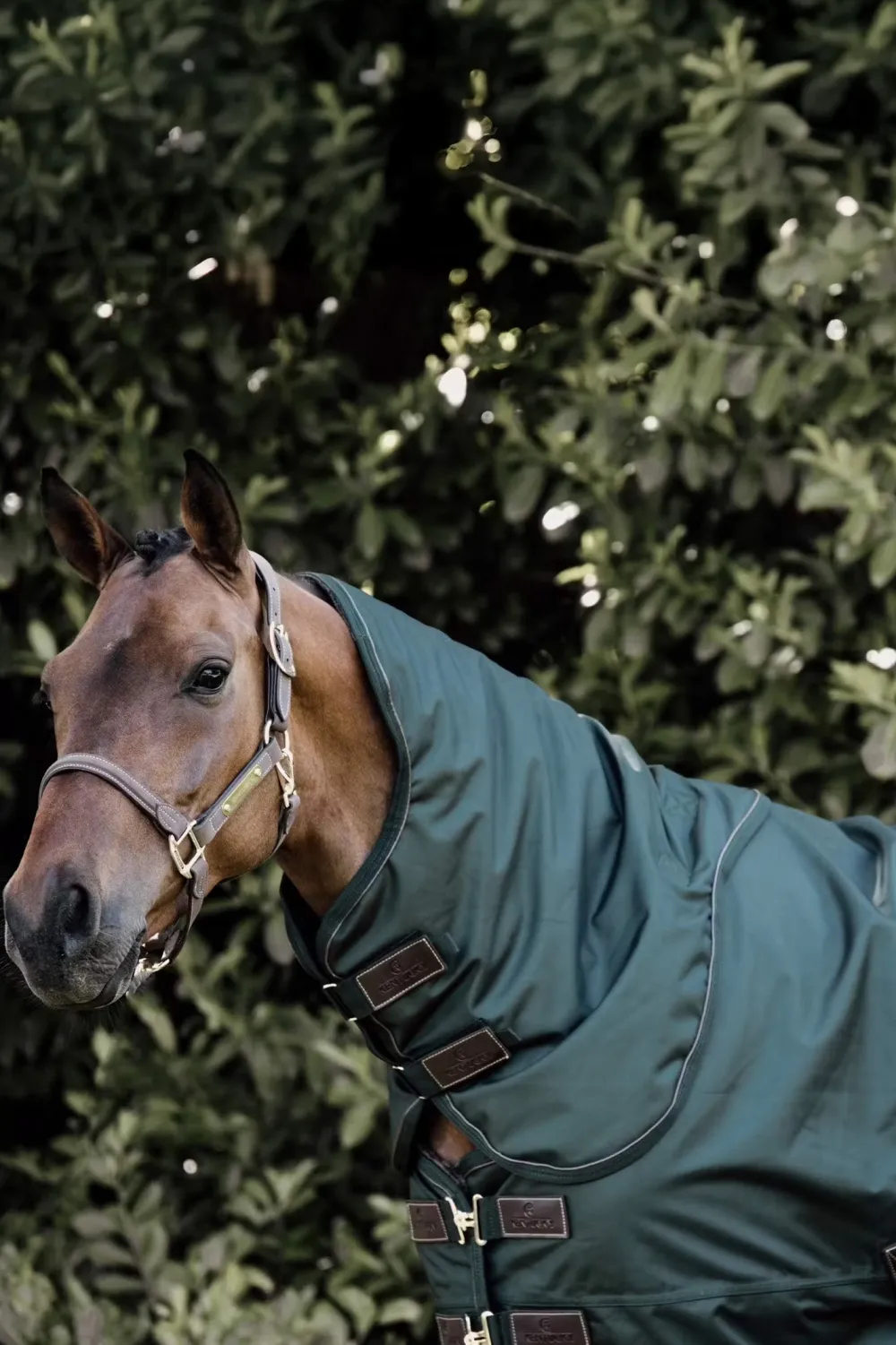 Kentucky Horsewear Hästtäcken & Flughuvor-Utetäcke Allväder g Mörkgrön
