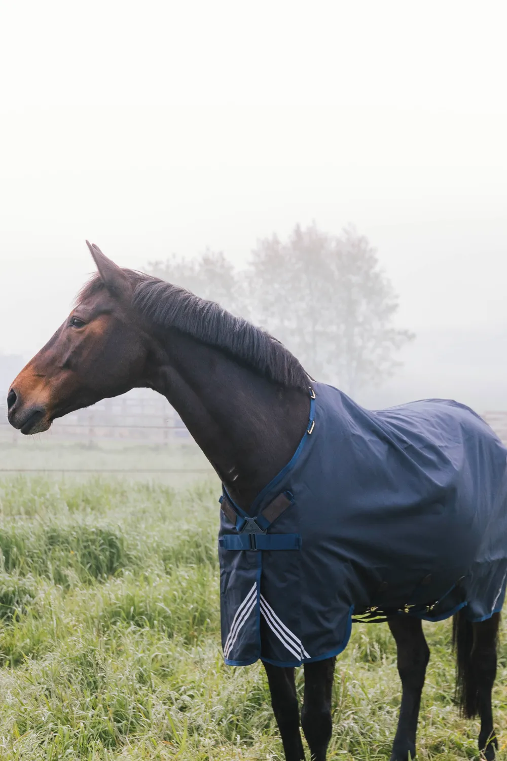 Kentucky Horsewear Kentucky Horsewear-Utetäcke All Weather Comfort 200g
