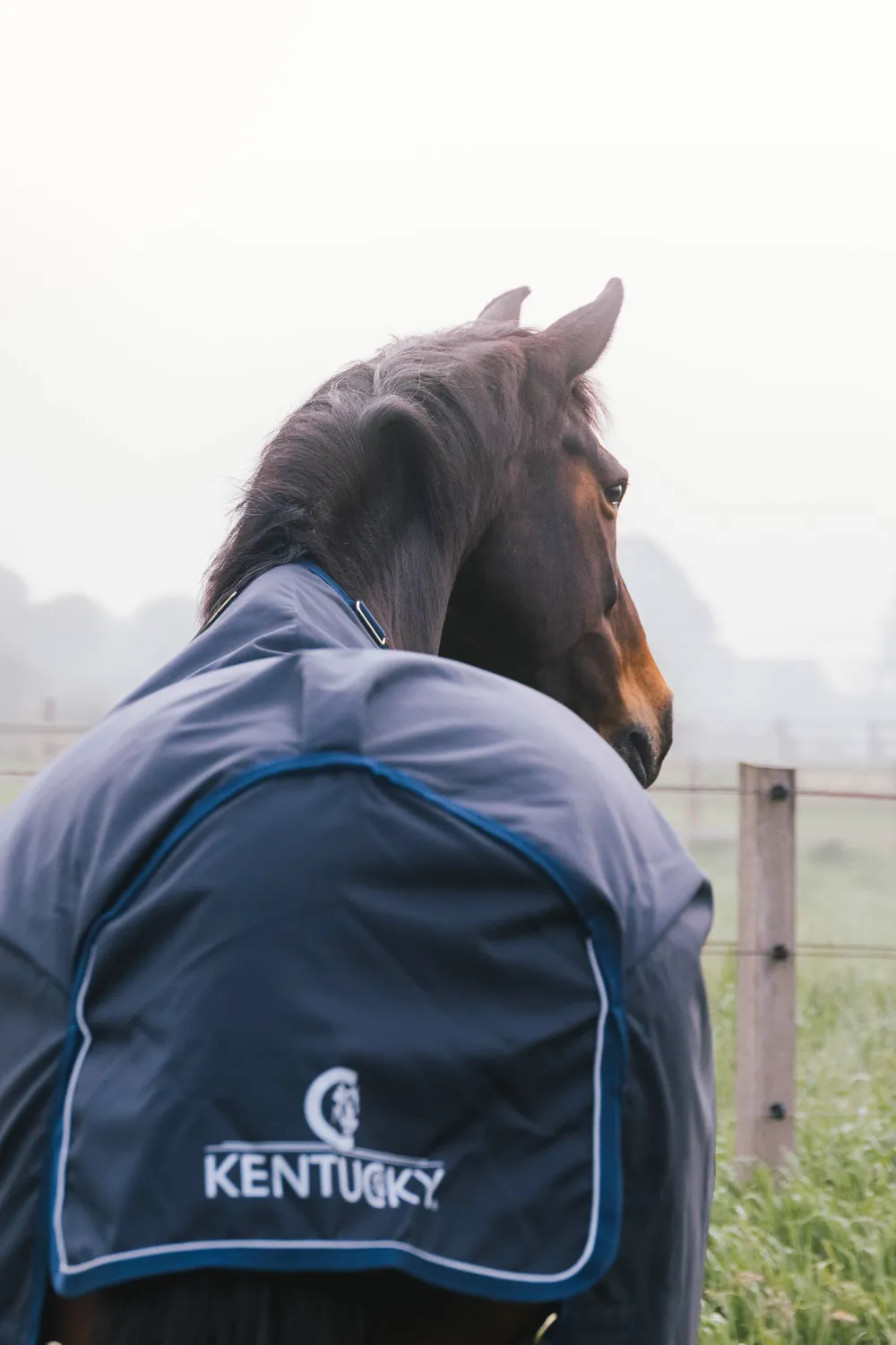 Kentucky Horsewear Kentucky Horsewear-Utetäcke All Weather Comfort 200g