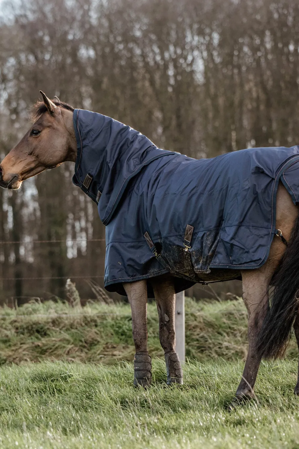Kentucky Horsewear Hästtäcken & Flughuvor-Utetäcke All Weather 0g Navy