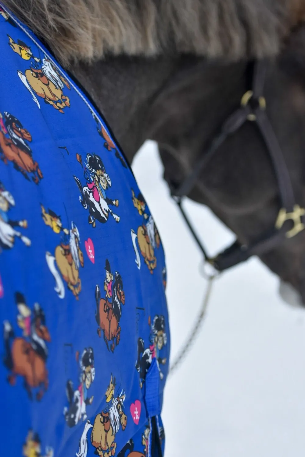 Källquist Hästtäcken & Flughuvor|Källquist Equestrian-Utetäcke 50g Blå