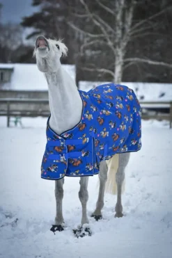 Källquist Hästtäcken & Flughuvor|Källquist Equestrian-Utetäcke 50g Blå