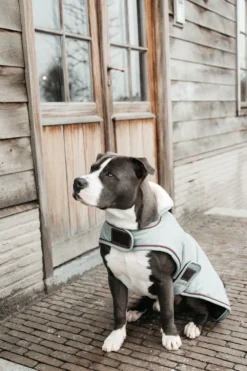 Kentucky Dogwear Kentucky Dogwear-Vattentätt Hundtäcke