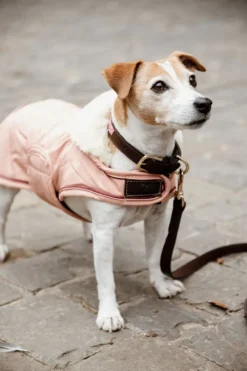 Kentucky Dogwear Kentucky Dogwear-Vattentätt Hundtäcke