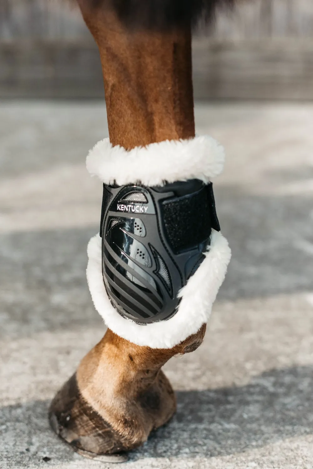 Kentucky Horsewear Benskydd & Benlindor-Vegan Bakkydd Fårkinn vart