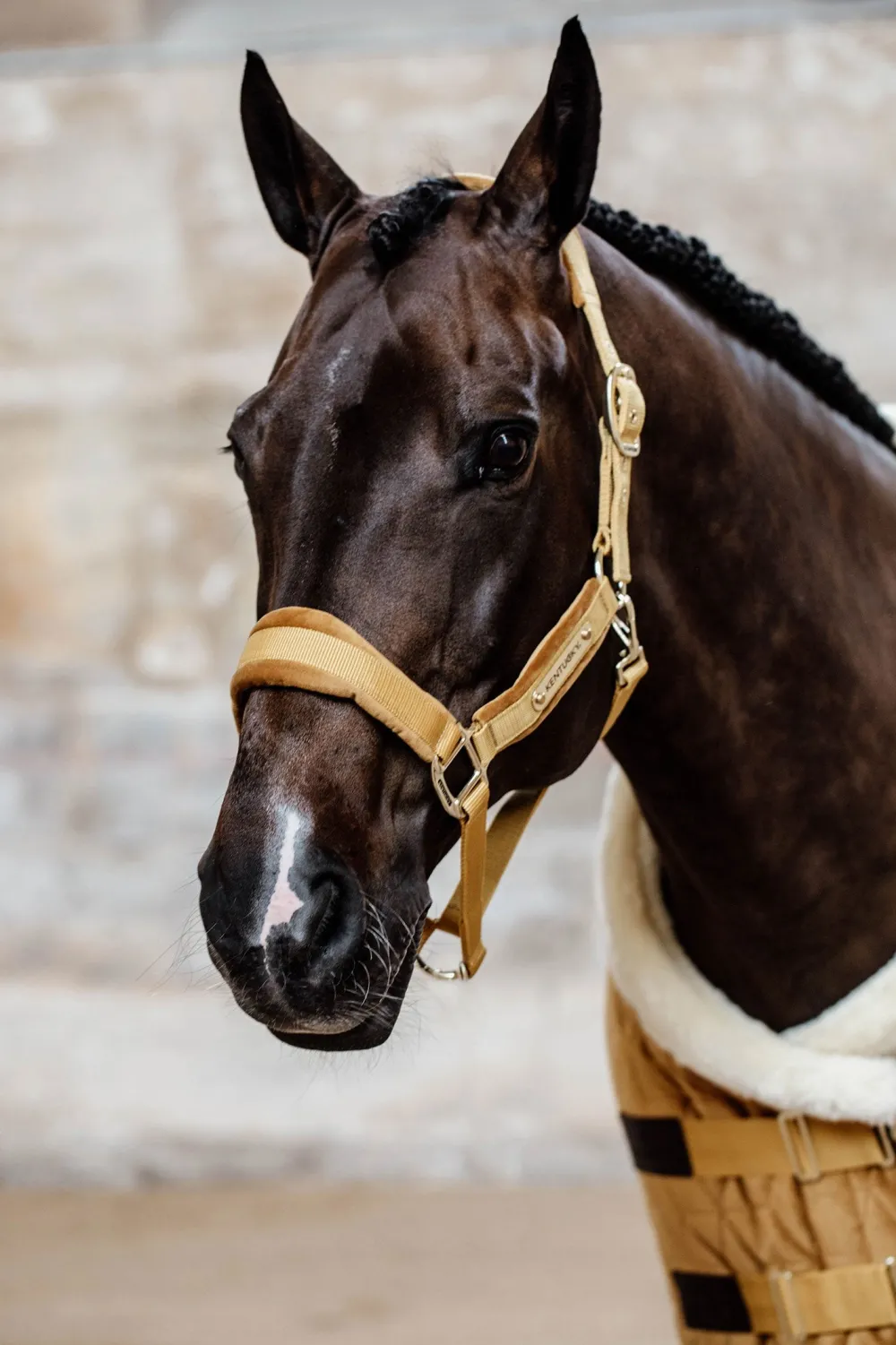 Kentucky Horsewear Grimmor & Grimskaft-Velvet Grimma Mustard