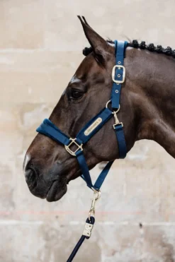 Kentucky Horsewear Kentucky Horsewear|Grimmor & Grimskaft-Velvet Grimma Navy