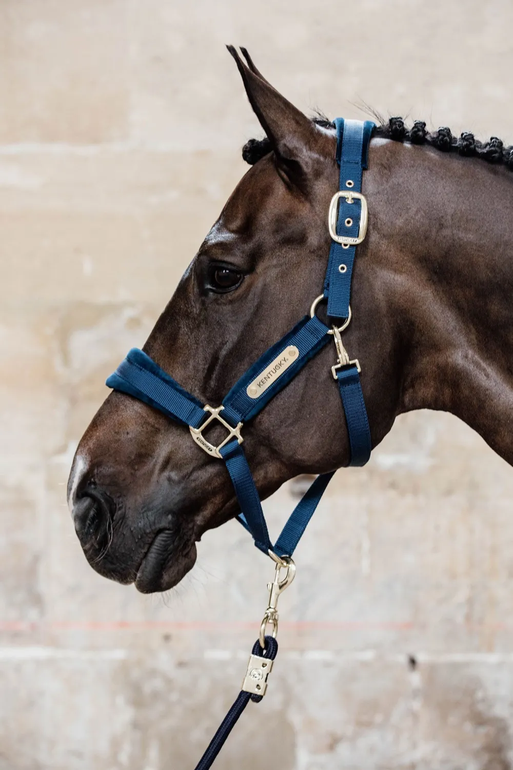 Kentucky Horsewear Kentucky Horsewear|Grimmor & Grimskaft-Velvet Grimma Navy
