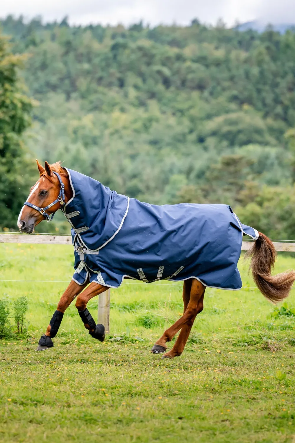 Horseware Horseware|Hästtäcken & Flughuvor-Vintertäcke Aigo Pu 400g V-front 1200D Navy/Grå