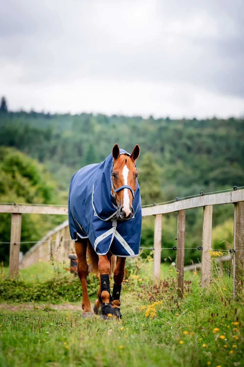 Horseware Horseware|Hästtäcken & Flughuvor-Vintertäcke Aigo Pu 400g V-front 1200D Navy/Grå