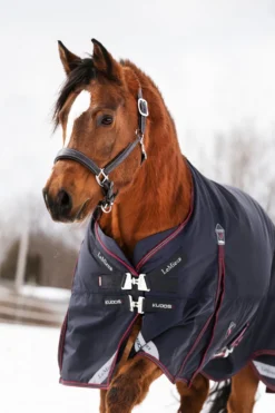 LeMieux Hästtäcken & Flughuvor|Lemieux-Vintertäcke Kudos 200g Navy