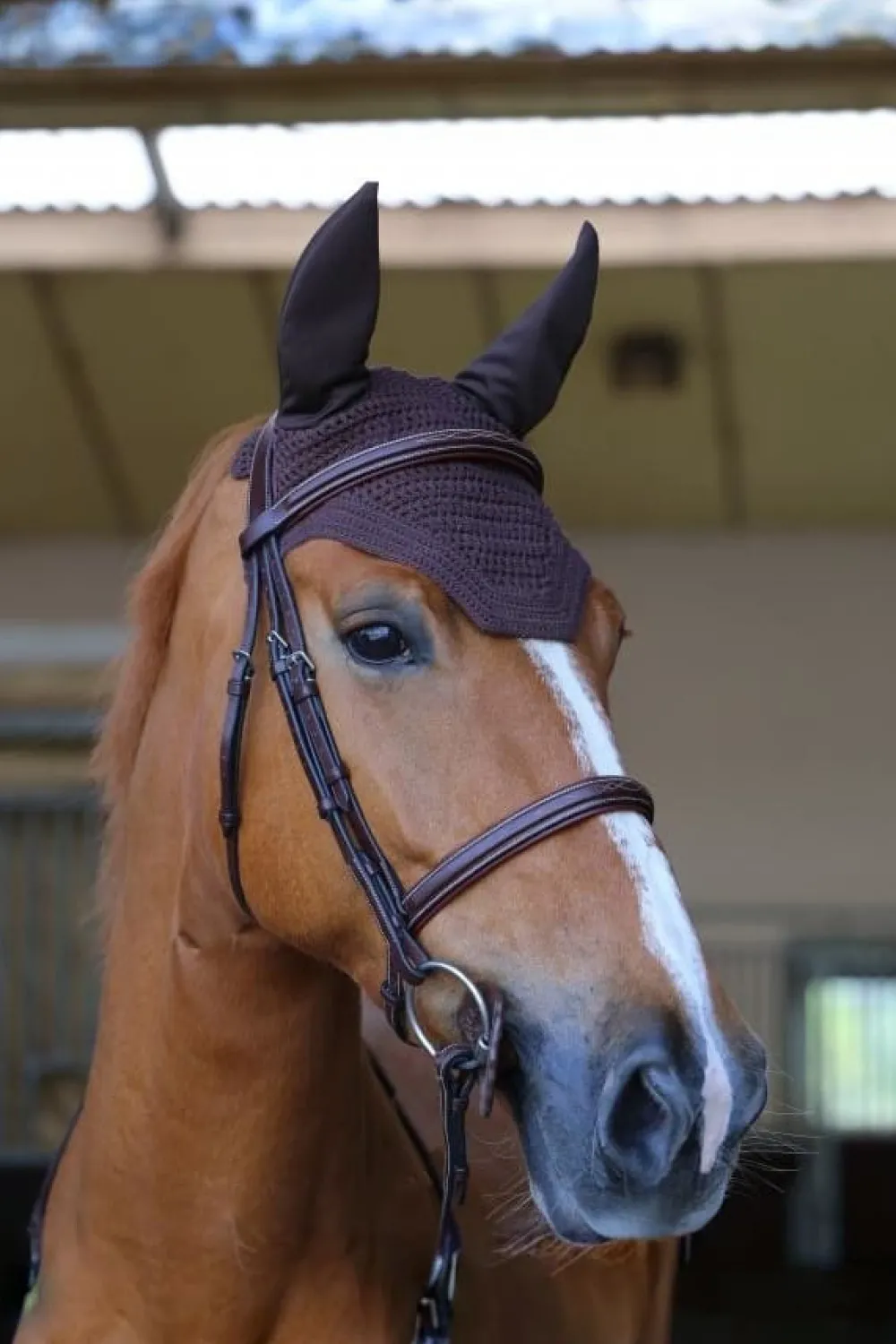 Kentucky Horsewear Kentucky Horsewear|Schabrak & Huvor-Wellington Huva Brun